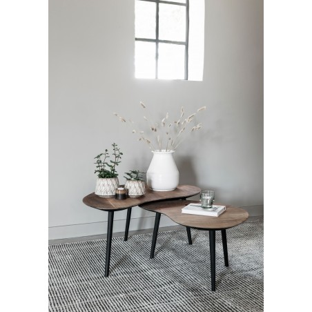 Set aus 2 Couchtischen Organus