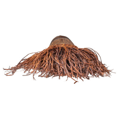 Mwana Pwo-Maske