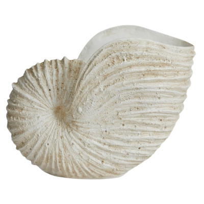 ketoy, ozdobný, conch