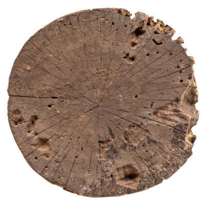 Veistos N'duleri AAA866