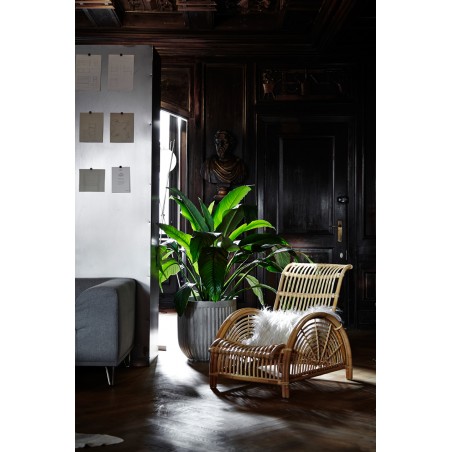 Fauteuil Paris avec coussin