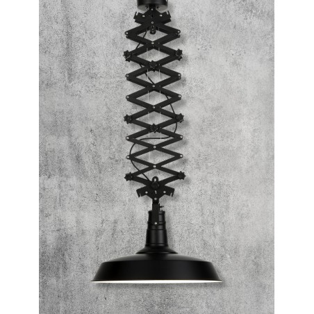 Suspension Vancouver