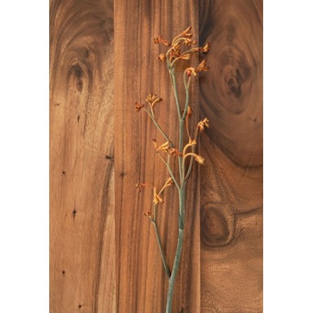 Table basse rectangulaire Flare