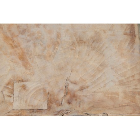 Table d'appoint Root Tooth