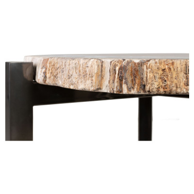 Table d'appoint en bois pétrifié