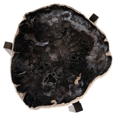 Table d'appoint en bois pétrifié
