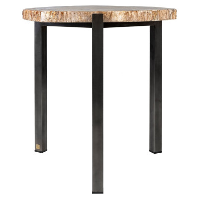 Table d'appoint en bois pétrifié
