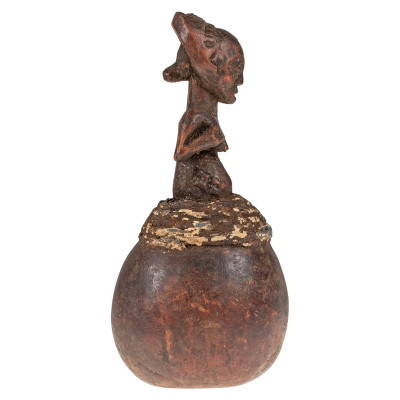 Gourde médicinale AAA492