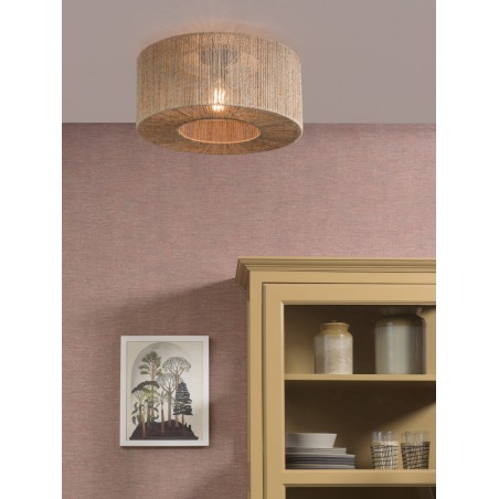 Φωτιστικό οροφής Iguazu