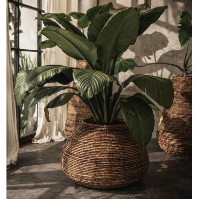 Java pot