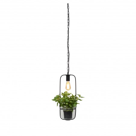 Florence pendant lamp