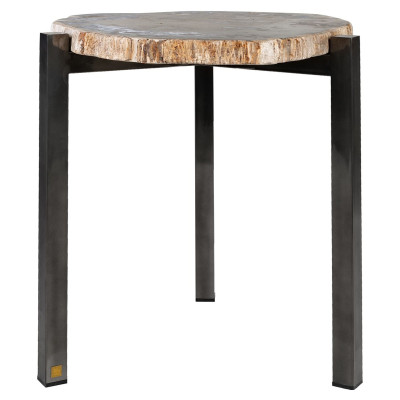 Petrified wood side table