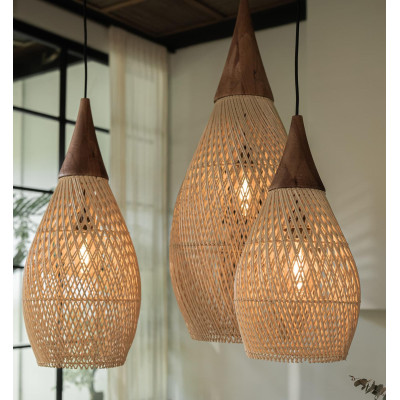 Horn Pendant Light