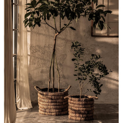 Caterpillar Sago round basket