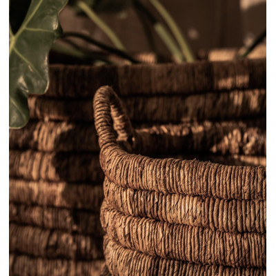 Set of 2 Caterpillar Sago rectangular baskets