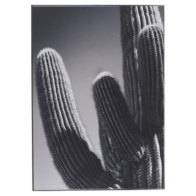 Poster Cactus