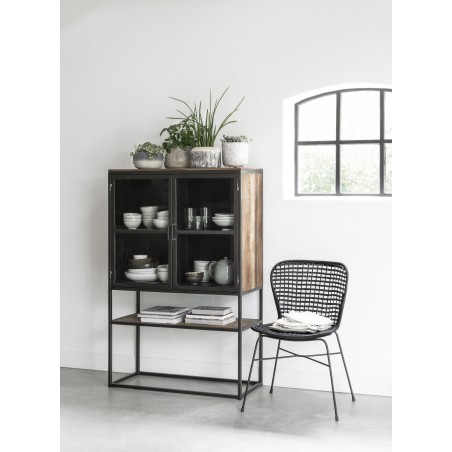 Baboon Display Cabinet