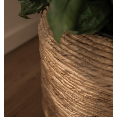 Vaso con coperchio a cono