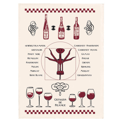 Strofinaccio Vitruve