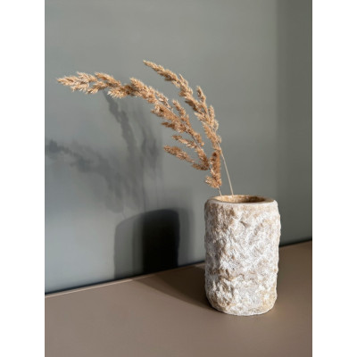 Vaso Apollo
