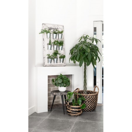 Supporto da parete Green District