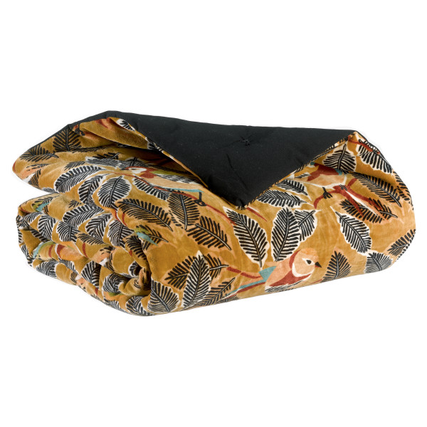 Zazu aksomo antklodė