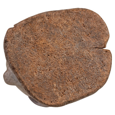 Janus Matomba skulptūra