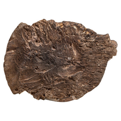 Skulptūra motinystės AAA1193