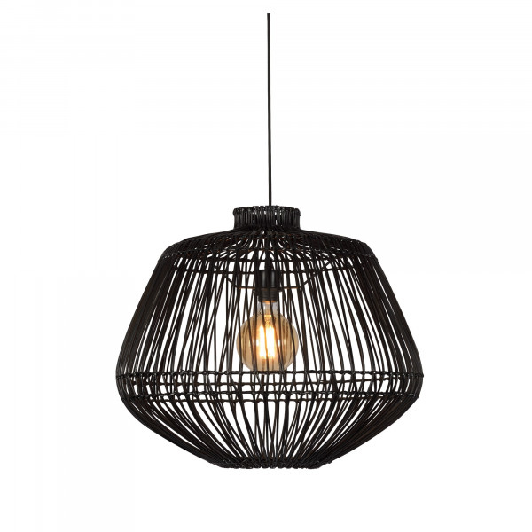 Madagaskaras rotangpalmas...