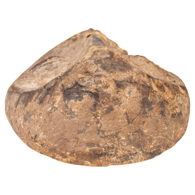 Lukwakongo maska AAA797