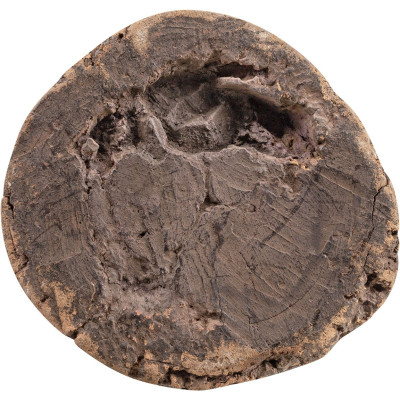 Skulptūra Baule Power