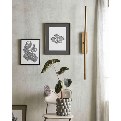 Rocaille illustratiekader