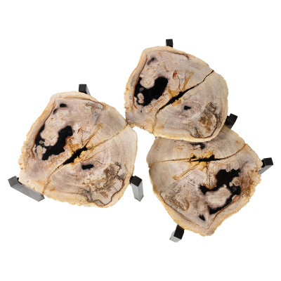 Set van 3 tafels van versteend hout