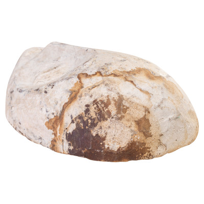 Máscara Lega AAA1531