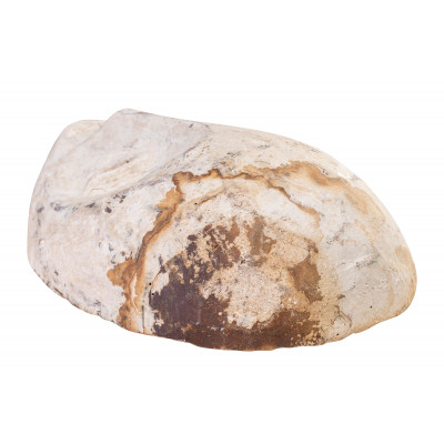 Máscara Lega AAA1531