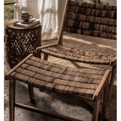 Caterpillar Beetle fotpinnar