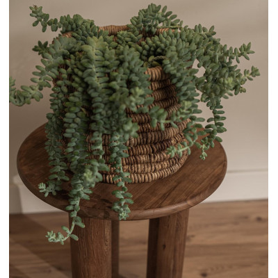 Dino príručný stolík