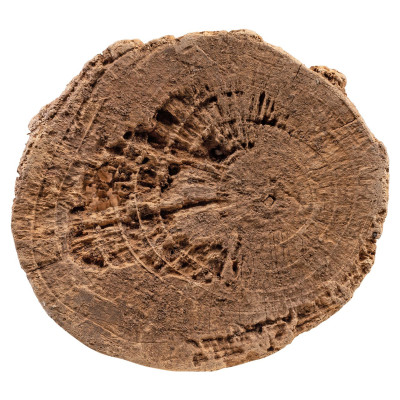 Socha Dogon